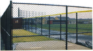 battingcage.jpg